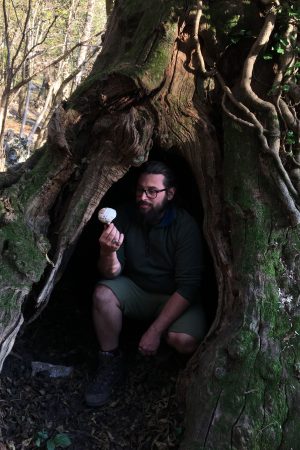 ANTICHE MAGIE, MODERNI RIMEDI. STORIA DELLE PIANTE MAGICHE